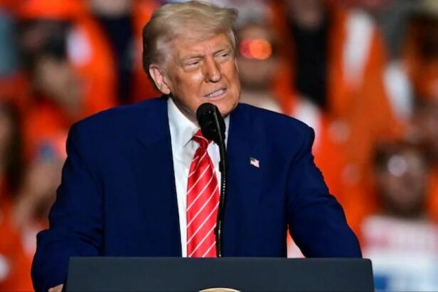 Donald Trump's 25 Per Cent Tariff Hike On Steel Aluminium Comes Into Effect