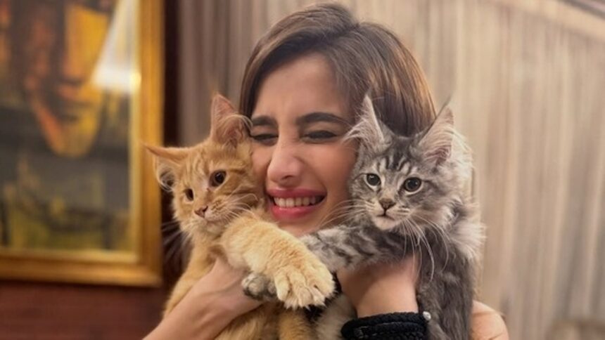 Meet Sher and Bageera: Rasha Thadani adds two maine coon cats to her pet family. See Pics