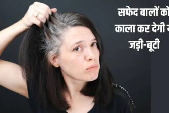 सफेद बालों को काला करने ही नहीं Hair Fall को कम करने में भी मददगार है ये जड़ी-बूटी जानें कैसे करें इस्तेमाल